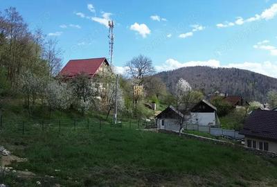 Teren de 1272 mp, în Gura Humorului - 14