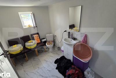 Casă cu 3 camere cu Teren 4700 Mp în Vințu de Jos - 2