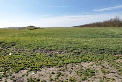 Teren Construcții intravilan de 320 mp, în Costinești - 5