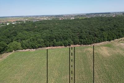 Teren intravilan langa padure Corbeanca Park - 6