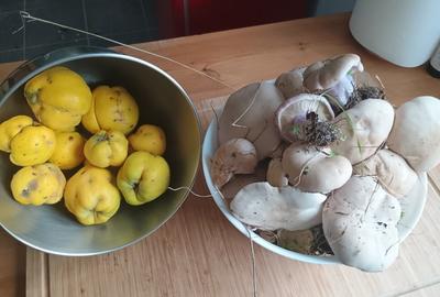 Renovata complet  2024 - 2500mp teren Renovata complet  2024 - 2500mp teren - 15