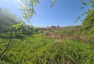 Teren de vanzare in Campina in zona retrasa - 6