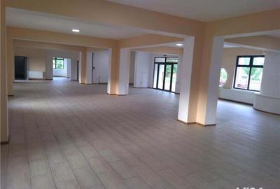 Spațiu comercial, de 450 mp, în Central - 6