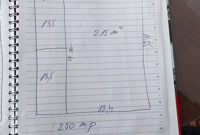 Spațiu industrial, de 250 mp, în Gheorghe Doja - 6