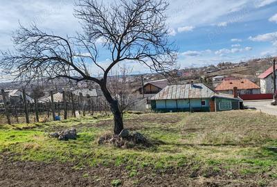Casa cu teren de vanzare -34500 euro negociabil - 9