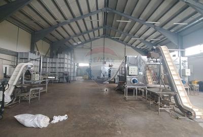 Spațiu industrial, de 1,120 mp, în Dumbrăveni - 33