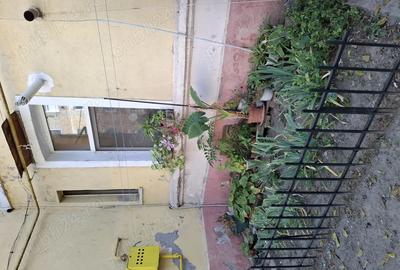 Apartament 1 camera econom - 2