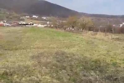 Teren de 2300 mp, în Viișoara - 5