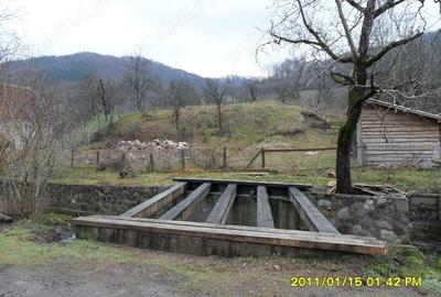 Teren de 1924 mp, în Moneasa - 1