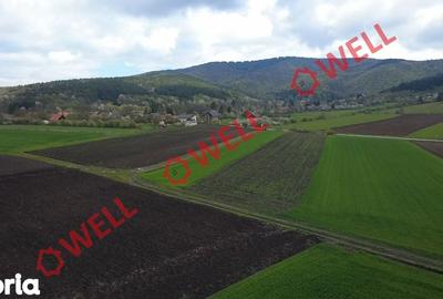 Teren de 5000 mp, în Ozun - 2