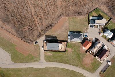 Teren de vis în Dumbrava Vlăsiei – 1290 mp, la marginea pădurii mature - 5