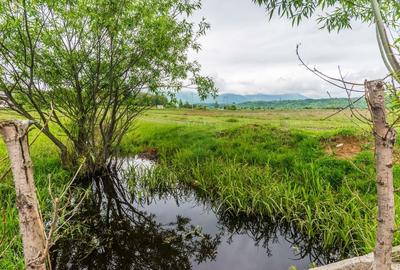 Teren Bran -Sohodol, Strada La mesteceni, 6900mp - 13