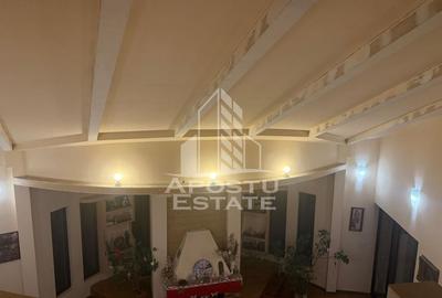 Casa spatioasa cu design american-calea Urseni - 25