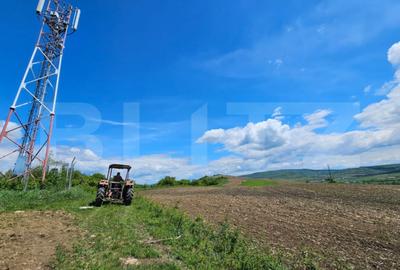 Teren de 5800 mp, în Central - 4