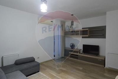 Apartament cu 2 camere de inchiriat Vivalia  zona Aurel Vlaicu - 17