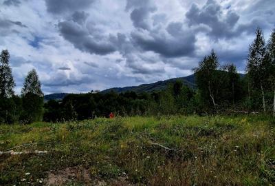 Teren zona Sinca Noua, jud Brasov, comision 0%, plata in 2 rate - 4