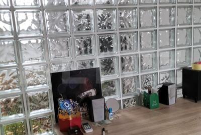 Apartament pe doua etaje, 110 mp si balcon spatios de 12 mp, Valea Garbaului - 11