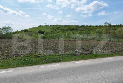 Teren 31 ari, zona linistita - 1