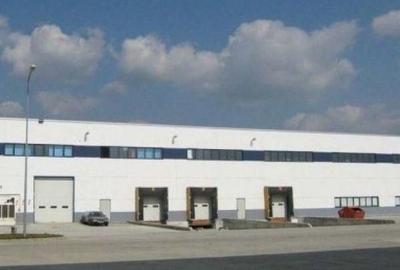 Spațiu industrial, de 1,300 mp, în Dragomirești-Vale - 6