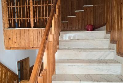 Vanzari vile in Eforie Nord - 3