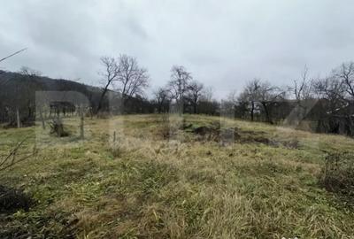 Casă cu 4 camere cu Teren 3000 Mp în Cășeiu - 6