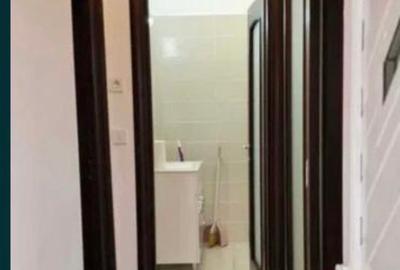 Apartament cu 2 camere semidecomandat în Tineretului - 5