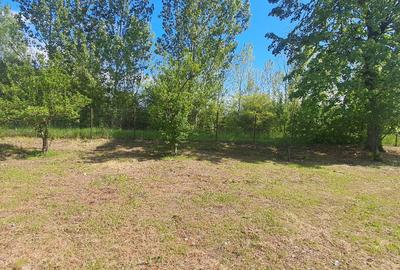 Casă cu 2 camere în Palanga - 3