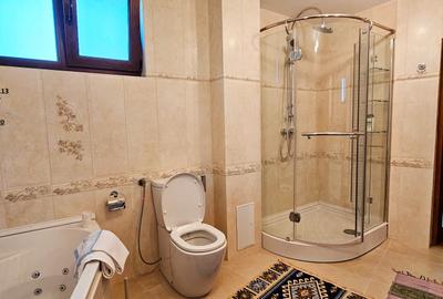Proprietate zona Manastirea Bistrita, in cadru natural,cu toate facilitatile - 14