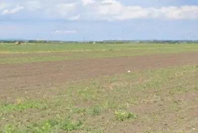 Teren extravilan Cocorastii Colt ; ID: R2710069 - 5