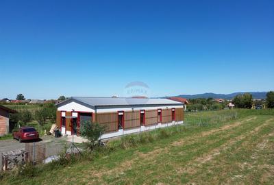 Spațiu comercial, de 147 mp, în Lăpuș - 3