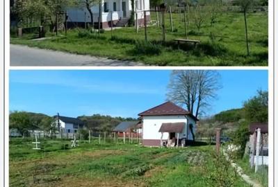 Casă cu 3 camere cu Teren 1600 Mp în Crâmpotani - 4