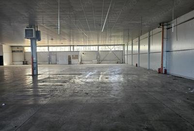 Hala Calea Lugojului 1400 mp 6000 euro - 3