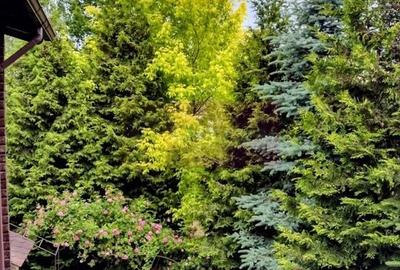 Vila de vanzare in Brebu - Zona Brebu Manastirei - 19