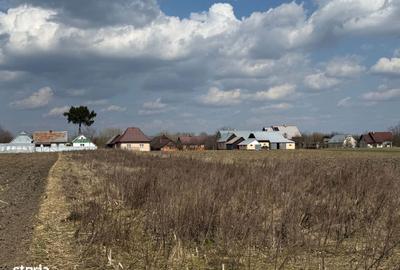 Spațiu comercial, în Costișa - 1