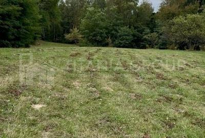 Teren intravilan, cu PUZ, Bran Tohanita, pârâu, pădure și priveliște de vis Teren intravilan, cu PUZ, Bran Tohanita, pârâu, pădure și priveliște de vis - 5