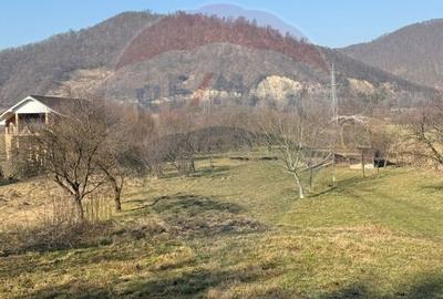 Teren Construcții intravilan de 7968 mp, în Est - 3