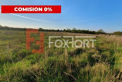 Comision 0% Teren intravilan de 3346 mp cu 2 fronturi - Jebel - 4