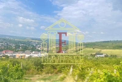 Teren Construcții intravilan de 7500 mp, în Tomești - 4