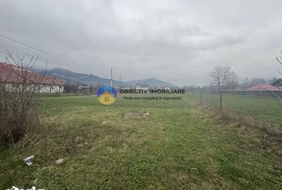 Teren de 1200 mp, în Alexandru cel Bun - 8