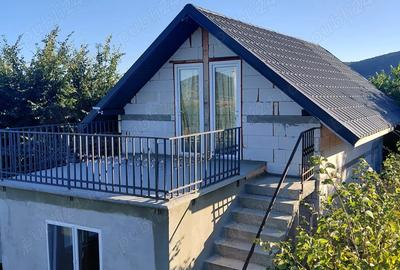 Vand casa cu 10 arii teren - 8