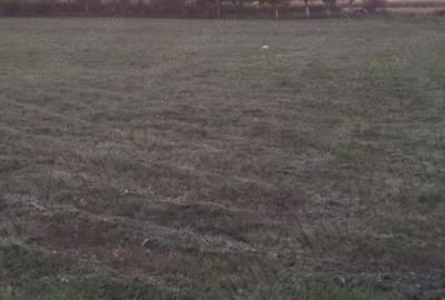 Spațiu comercial, în Cărpiniș - 9