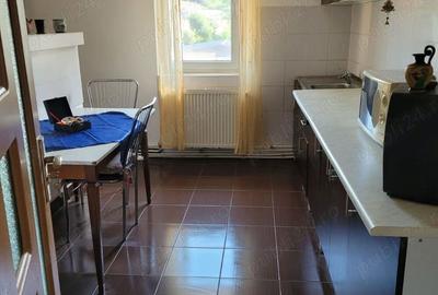 Apartament cu 3 camere decomandat în Lupac - 5