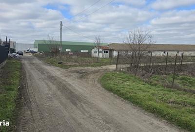 Teren de 4649 mp, în Topraisar - 6