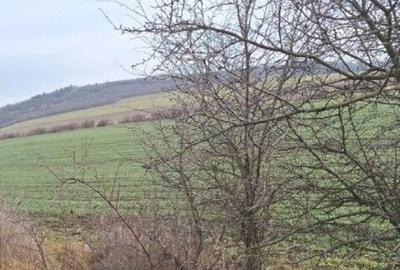 Teren cota parte 1/12 Deleni, ID: R2662164 - 1