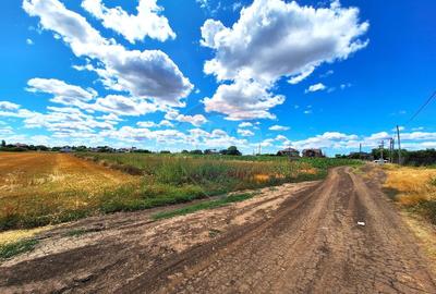 Teren Focsanei / DN sat Focsanei Vadu Pasii - 5