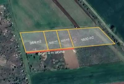 Teren de 3600 mp, în Ciorogârla - 4