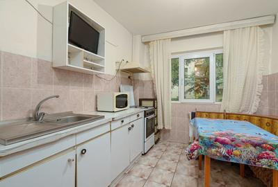 TEI - MAICA DOMNULUI - 2 CAMERE 53 MP, PARTER! - 4