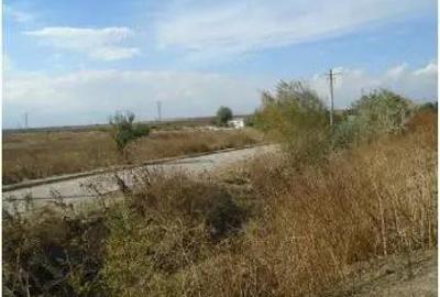 Teren intravilan 3 loturi teren- total suprafata 7.960 m.p. Constanta- de vanzare pret 4.800.000Eur - 9