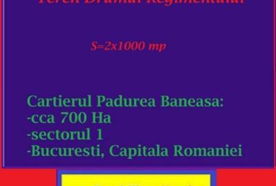 Drumul Regimentului, vis a vis de Padurea Baneasa