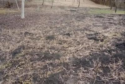 Casă cu 3 camere în Călărași - 3